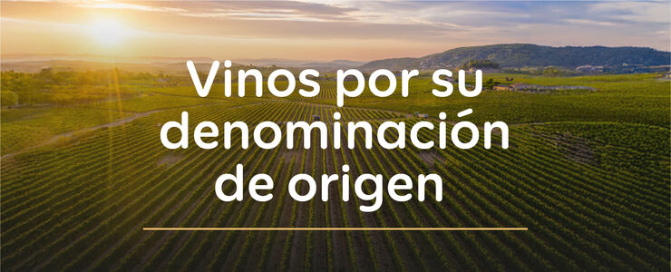 landing_vino_denominacion_origen