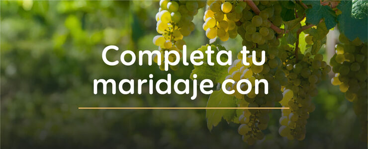 landing_header_jamon_comoelegirtujamon