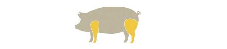 landing_header_jamon_comoelegirtujamon