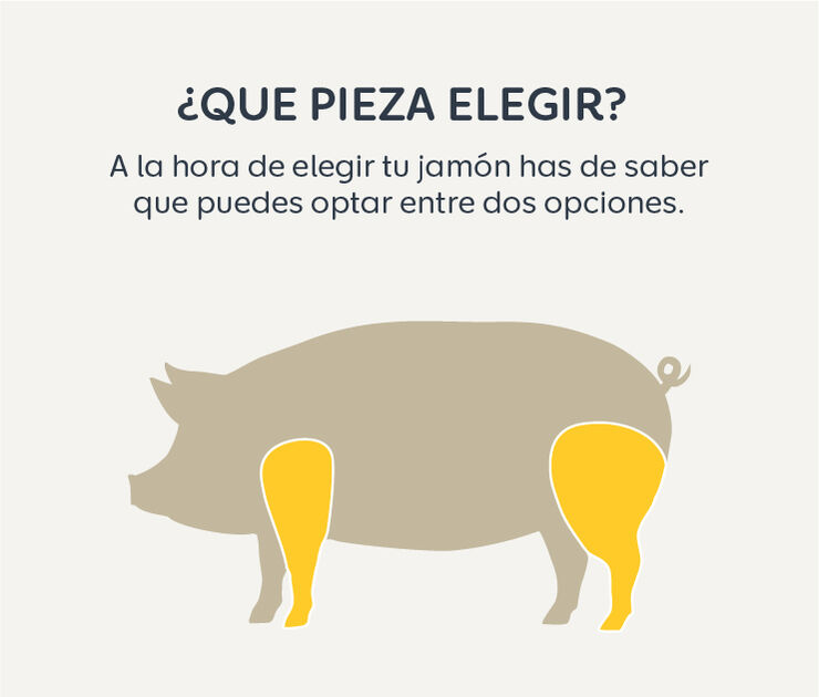landing_jamon_quepiezaelegir