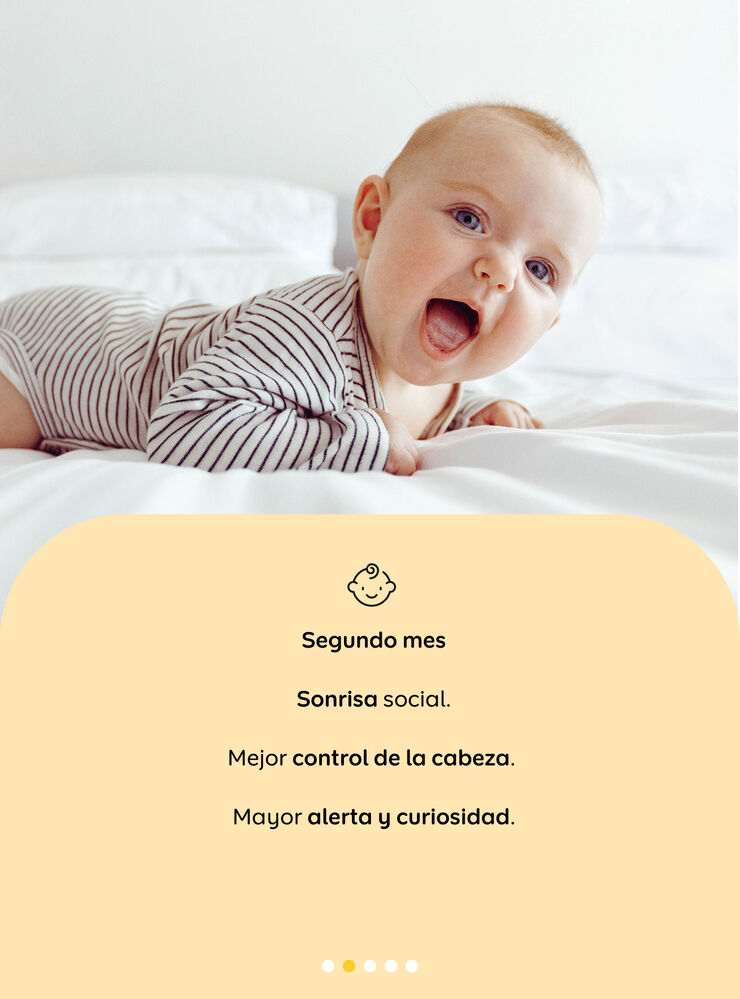 etapa_1_2