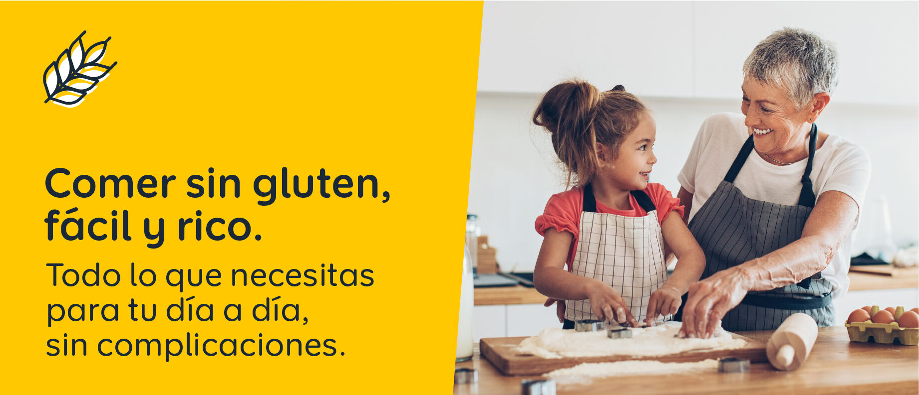 landing_airfryer_texto_Seo