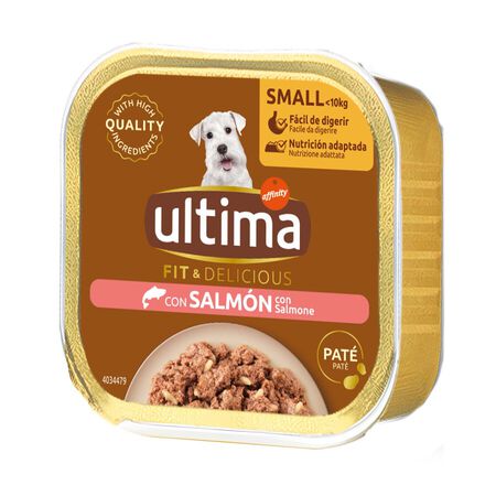 Ultima dog mini húmedo paté salmón y arroz