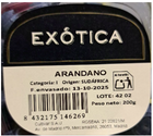 Arándano bandeja 200g