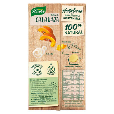 Crema de calabaza Knorr 500ml