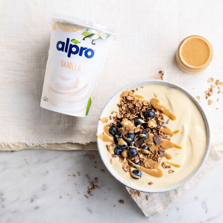 Postre de soja Alpro 500g vainilla