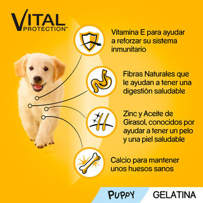 Comida h&uacute;meda perros junior Pedigree vital 400g