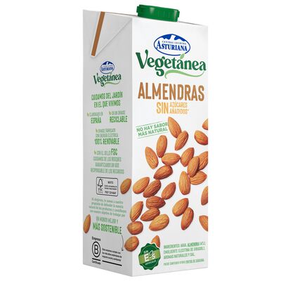 Bebida de almendras Vegetanea 1l