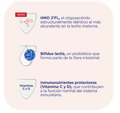 Leche continuaci&oacute;n en polvo Nidina 2 Nestl&eacute; desde 6meses 800g