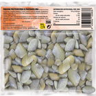 Coquina/tellina 250g
