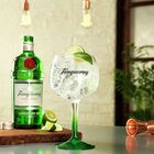 Ginebra Tanqueray 70cl