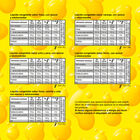BEBIDA PARA CONGELAR FLASHES FRIGO 10U