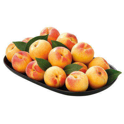 Albaricoque