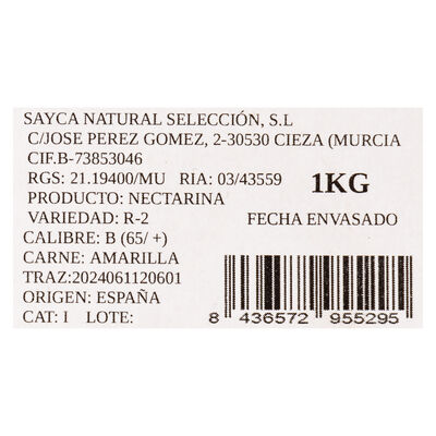 Nectarina bandeja 1Kg