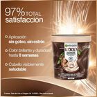 Tinte Pelo Good Garnier Castaño Nº 5.0