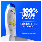 Champ&uacute; con f&oacute;rmula citrus fresh H&S 330ml