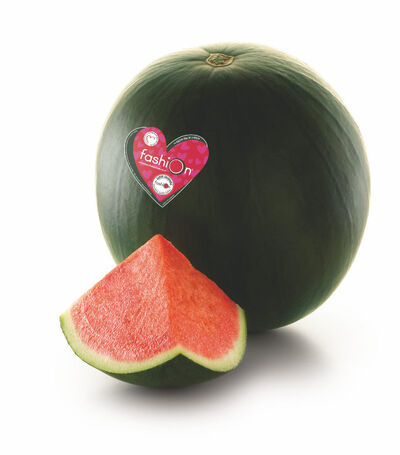 Sand&iacute;a Fashion (baja en pepitas)