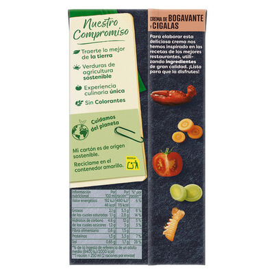 Crema Knorr 500ml bogavante y cigala