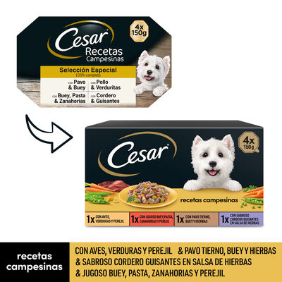 Comida h&uacute;meda perro C&eacute;sar recetas campesinas pack 4 x 150g