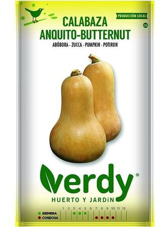 Semilla Verdy calabaza butternut