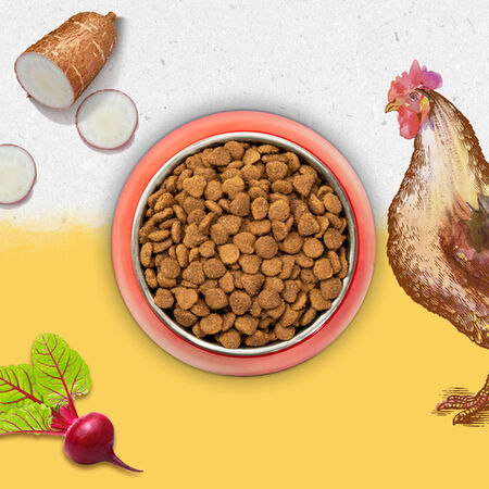 Pienso gato Purina beyond pollo 700g
