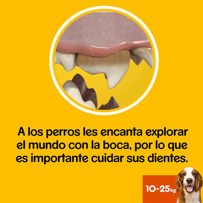 Snack higiene dental perro Dentastix 7 unidades