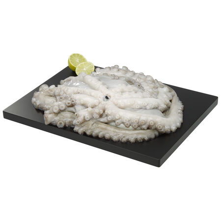 Pulpo crudo gordo 2-3kg
