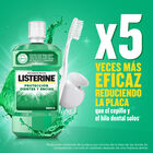 Enjuague bucal Listerine 500ml dientes y encias menta fresca