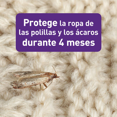 Antipolillas de pinza Orion 3+1 unidades lavanda