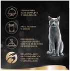 Sheba Delicatezze Comida H&uacute;meda para Gatos Selecci&oacute;n de Aves en Gelatina Multipack 4x85g