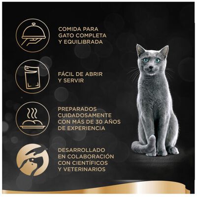 Sheba Delicatezze Comida H&uacute;meda para Gatos Selecci&oacute;n de Aves en Gelatina Multipack 4x85g