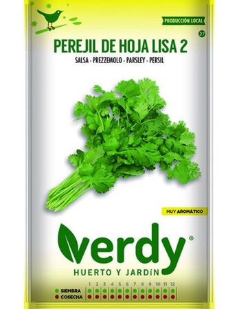 Semilla Verdy perejil hoja lisa 2