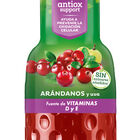 Néctar antioxidante arándanos Granini 1l