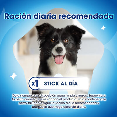 Snack perro Purina Dentalife mediano 5 unidades 115g