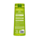 Champú fortificante Fructis 360ml anticaspa
