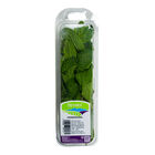 Hierbabuena envase 20g