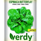 Semilla Verdy espinaca butterflay