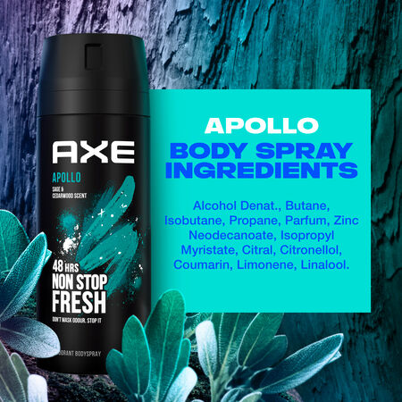 Desodorante Spray Axe 200ml Apollo