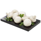 Champi&ntilde;&oacute;n fresco