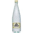 Agua con gas Vichy Catal&aacute;n 1,2L