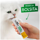 Snack gato Purina Pure gourmet salm&oacute;n 5 uds
