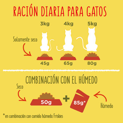Alimento para gato Friskies buey pollo 400gr