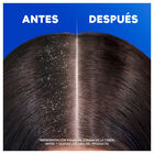 Champú H&S 800 ml Citrus Fresh