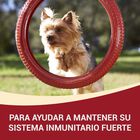 Pienso perro One adulto buey y arroz 1,5kg