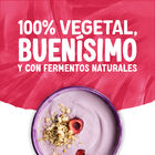 Postre Soja Alpro 400G Cereza