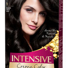 Tinte de cabello Schwarzkopf Palette n&ordm; 1  negro