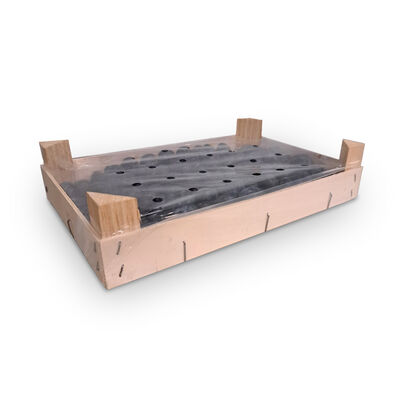 Arándano caja 1kg