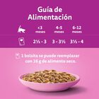 Comida para gatos pure delight Whiskas 4x85g