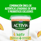 Kefir activia con sabor a melocot&oacute;n y maracuy&aacute; 380g Activia