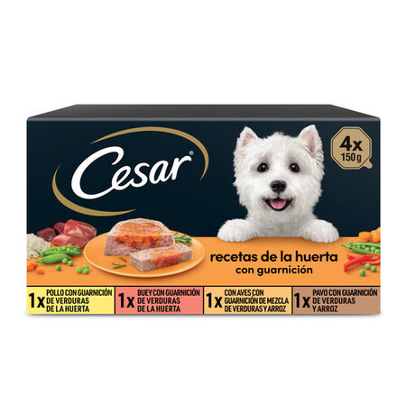 Comida húmeda perro César recetas de la huerta pack 4